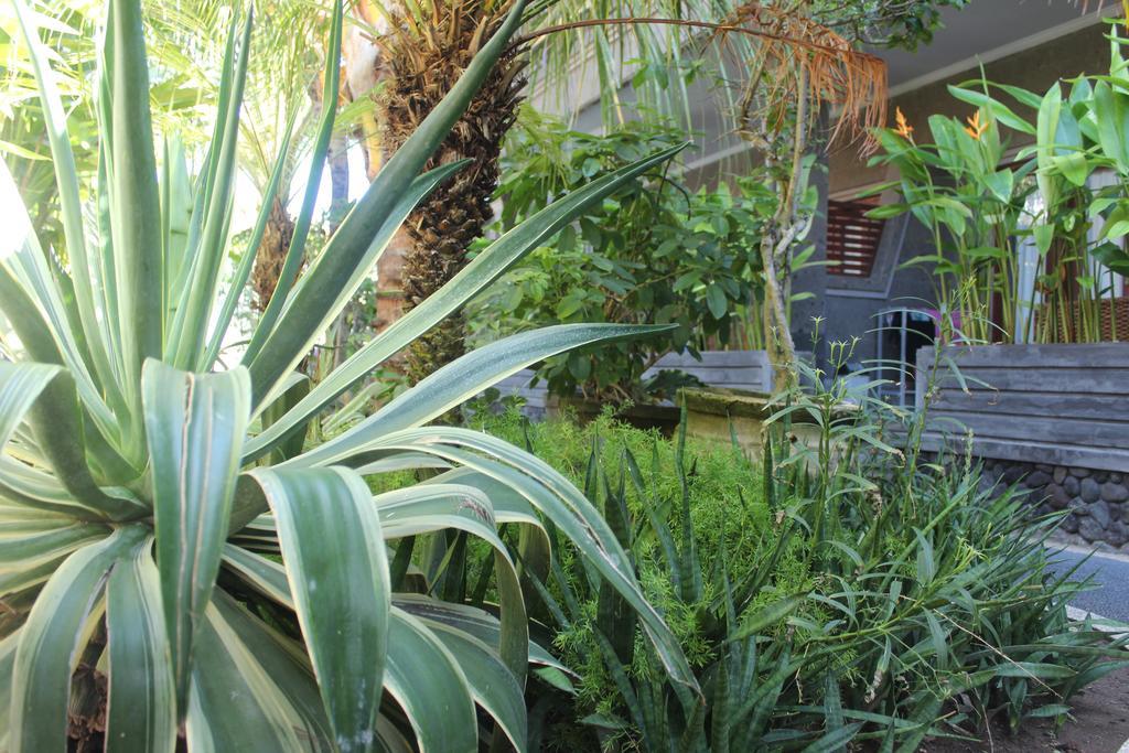 Letos Kubu Homestay Kuta Lombok Exterior foto