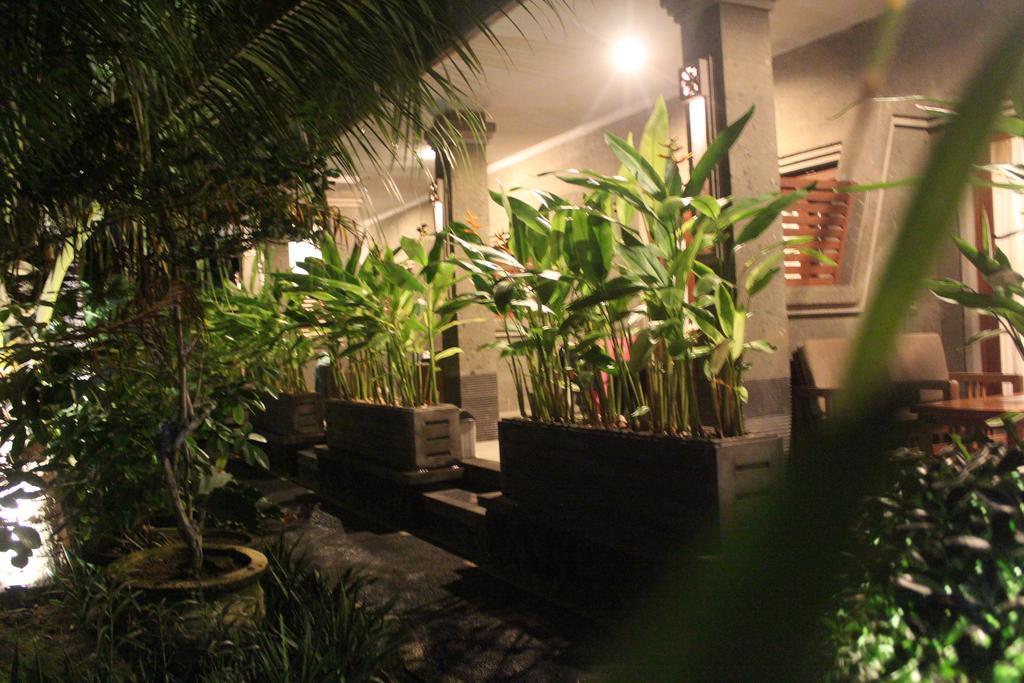 Letos Kubu Homestay Kuta Lombok Exterior foto